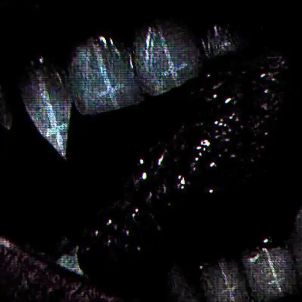 Bad Neighbors – Twisted Metal