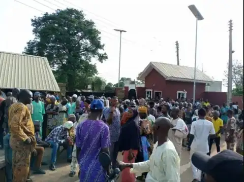 Drama As Bees Attack Mourners At Alaafin’s Palace