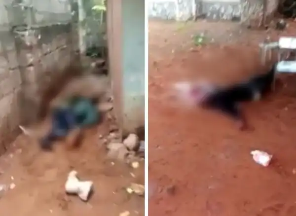 Three Policemen Killed As Gunmen Attack Checkpoint In Anambra