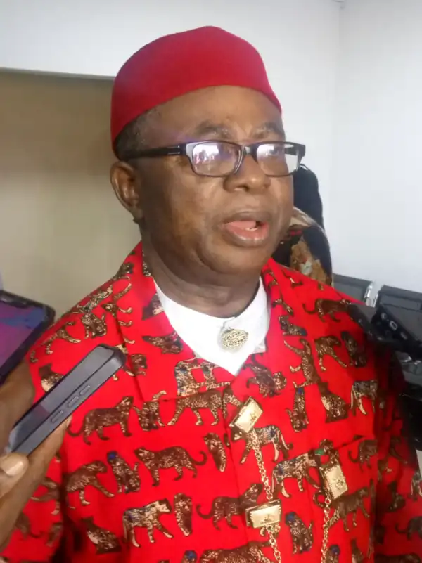 Use Tinubu’s tripled allocations to develop states – NEDC member tells governors