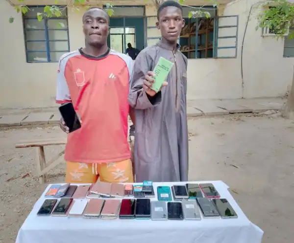 Katsina Police Arrest Two Suspected Shop Breakers, Recover 48 Stolen Phones
