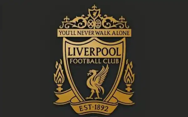 Price set: Liverpool clear star to seal transfer away for £13million