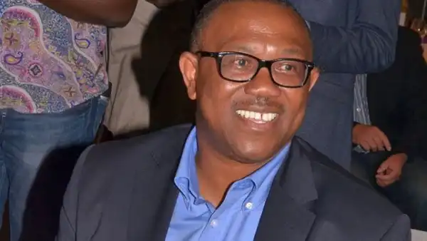 Peter Obi Cautions FG Against Further Borrowings