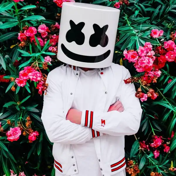 Best of Marshmello Dj Mixtape (Marshmello Greatest Hits)