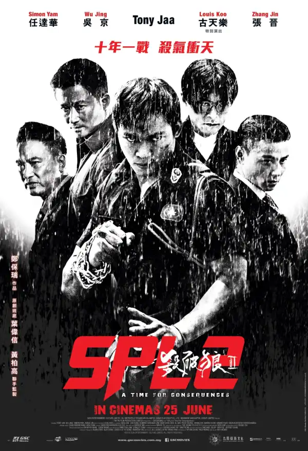 Kill Zone 2 (2015)