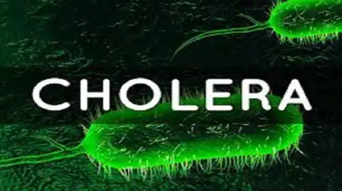 Cholera Outbreak: Niger records 27 new cases despite containment efforts