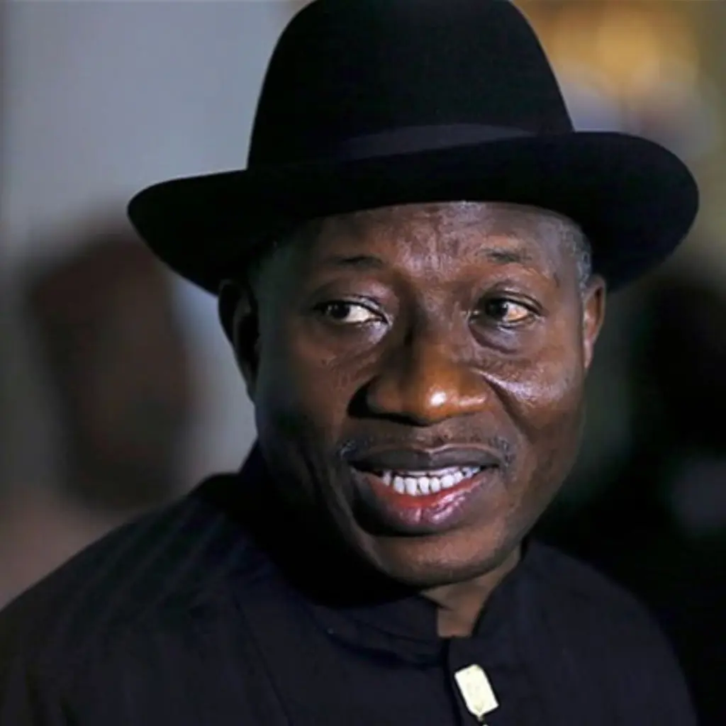 2027: Consider this call – Ex-Buhari campaigner urges Jonathan to contest