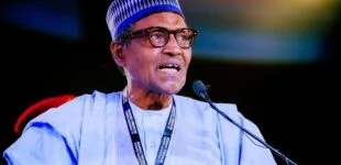 Buhari: Ukraine war has lasted too long — immediate resolutions needed to ease impact