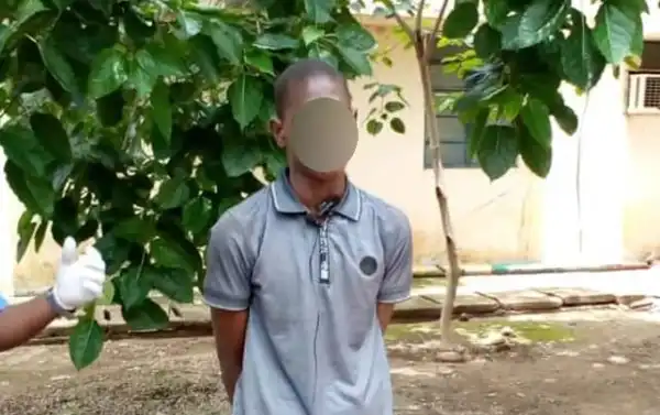 I Hit Her With A Pestle - 25-year-old Man Who Killed Stepmother Confesses