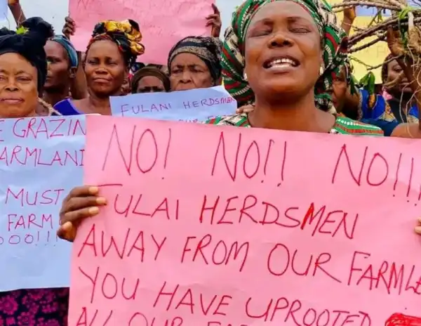 Abia: LGA Chairman convenes emergency security meeting as cattle destroy farms in Umunneochi