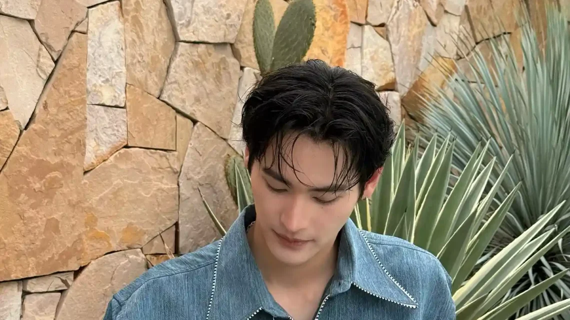 Career & Net Worth Of Noppakao Dechaphatthanakun