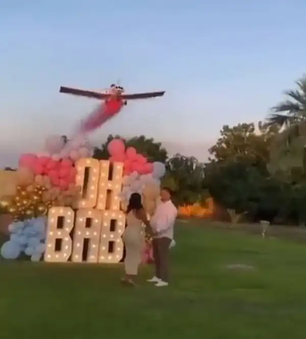 Pilot Dies After His Plane Crashed During A Gender Reveal Stunt In Front Of Cheering Guests (Video)