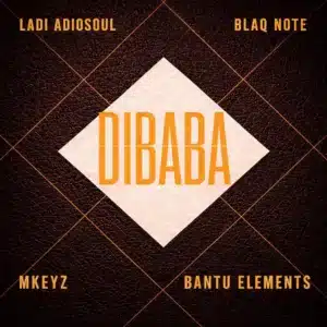 Ladi Adiosoul – DIBABA ft Blaq Note, Mkeyz & Bantu Elements