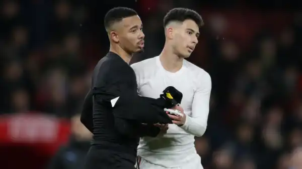 Gabriel Jesus lavishes praise on 