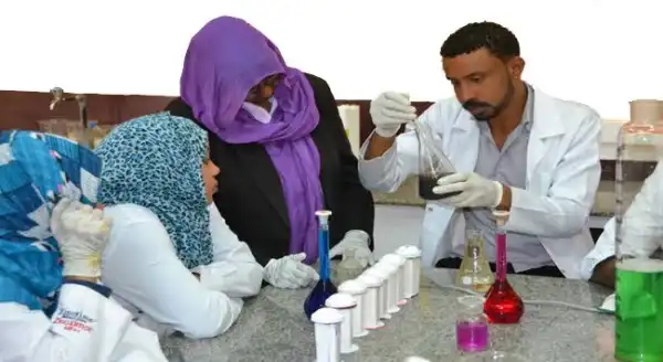 WHO warns of ‘huge biological risk’ after Sudan fighters occupy lab containing virus