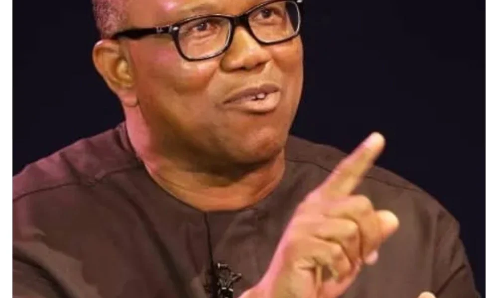 Tinubu spends 11 times more on debt servicing than projects — Peter Obi
