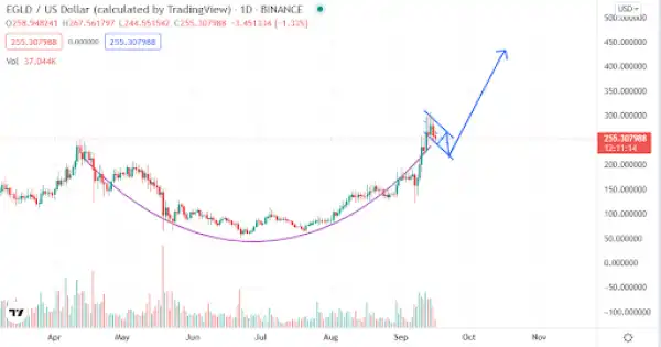 Cryptos About To Surge in Q4! Altcoins You Need To Keep An Eye On!