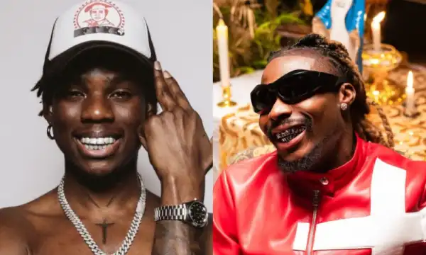 Rema And Asake Set New Afrobeats Records