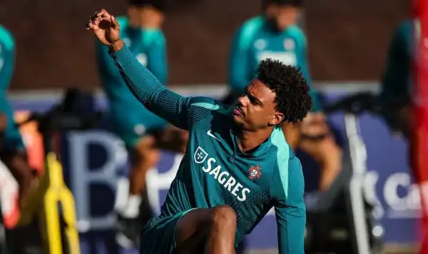 Career & Net Worth Of Renato Viega