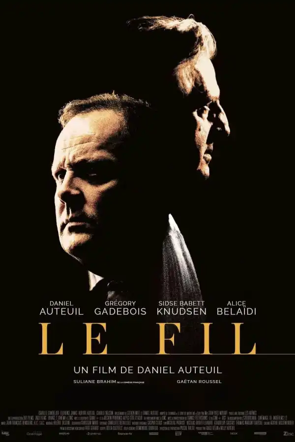 An Ordinary Case (2024) [French]