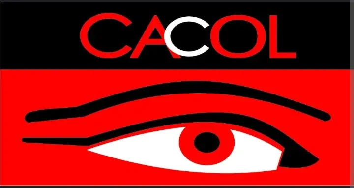 Those calling for interim govt are enemies of Nigeria – CACOL