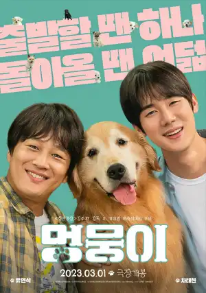 My Heart Puppy (2023) [Korean]