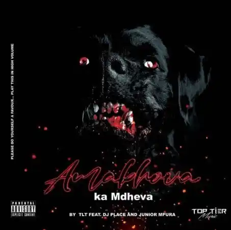 T.L.T – AmaBhova Ka Mdheva Ft. DJ Place & Junior Mpura