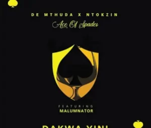 De Mthuda & Ntokzin – Yini Amapiano