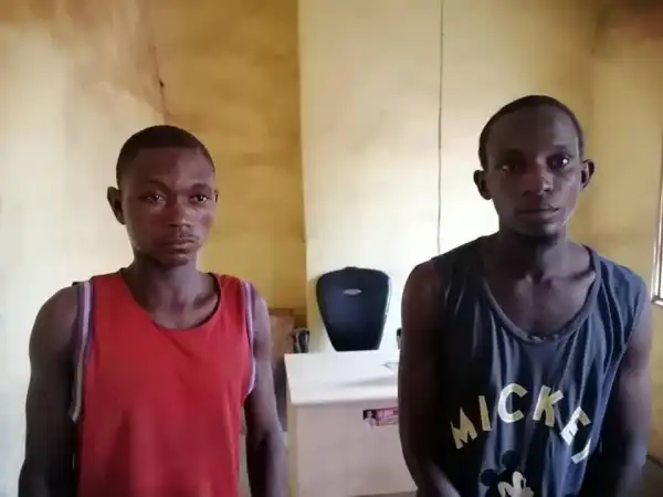 Two suspected members of notorious kidnap gang arrested in Benue