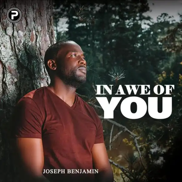 In Awe of You By Joseph Benjamin