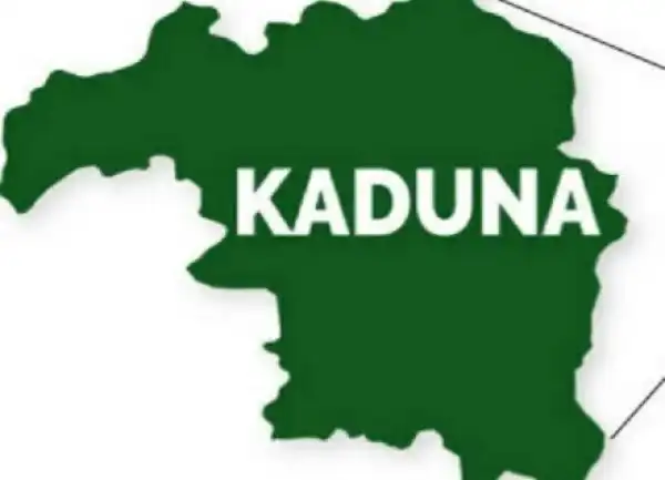 How Kaduna State Sacked 233 Teachers Over Fake Certificates, Insists On Competency Test