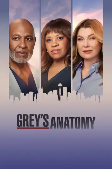 Greys Anatomy (2005 TV series)