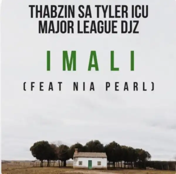 Thabzin SA, Tyler ICU & Major League – Imali ft. Nia Pearl
