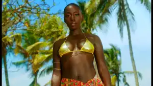 Sarkodie – Coachella ft. Kwesi Arthur (Video)