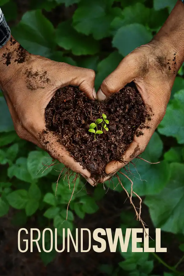 Groundswell (2026)