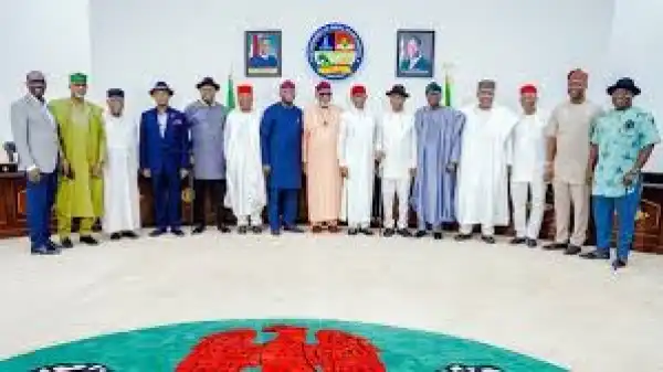 Zoning: Southern Governors Forum Reacts To Northern Governors