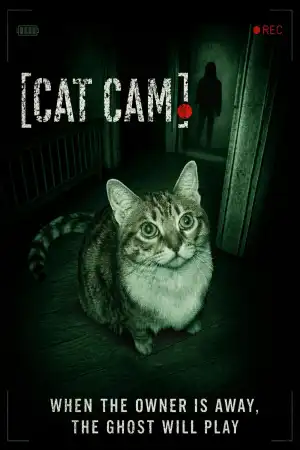 Cat Cam (2026)