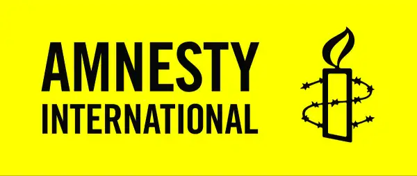 Over 2,500 killed, 29,554 displaced in Plateau in six months – Amnesty International