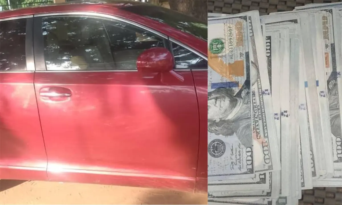 Two suspects in Police net over criminal conspiracy, car theft, fake dollars in Yobe