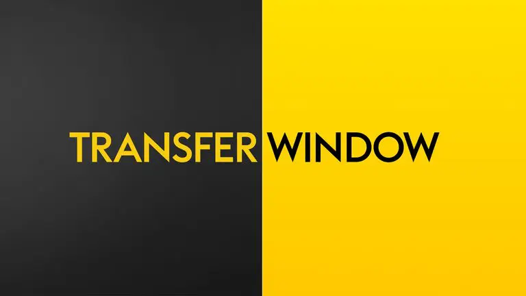 2025 January transfer window: Nigerian players scramble for new clubs after AFCON exploit