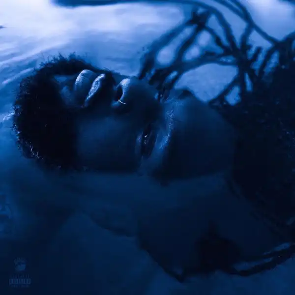 Rexx Life Raj ft. Fireboy DML & Wale - Beauty In The Madness