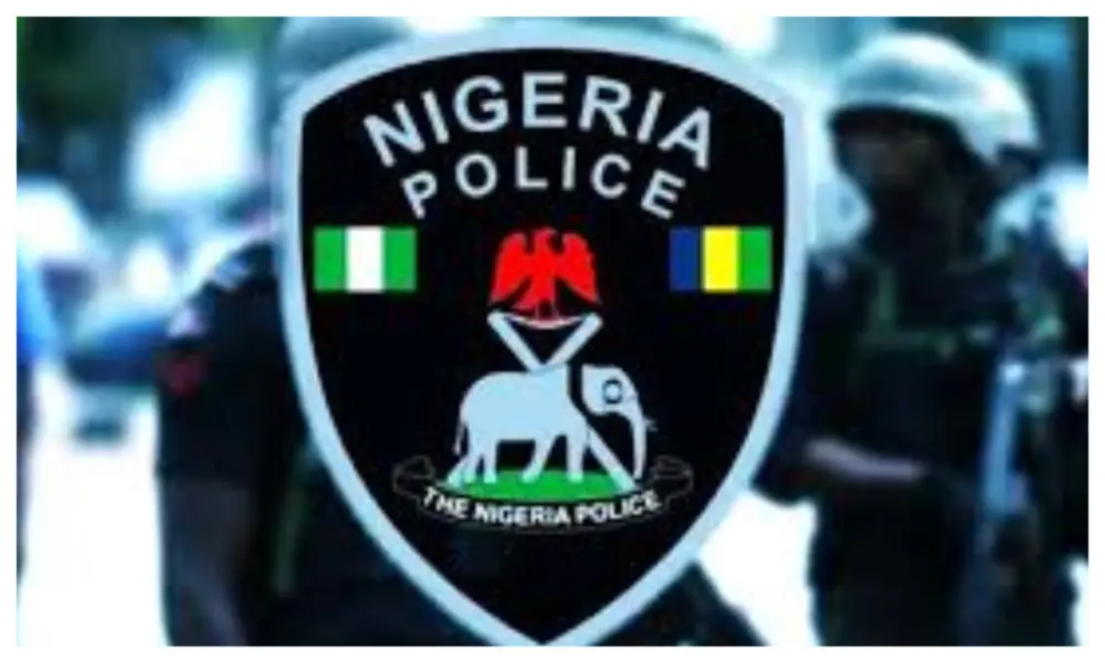 Adamawa Police arrest 3 on wanted list for highway robberies