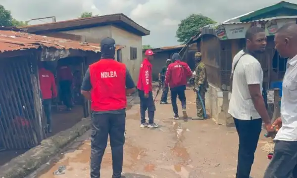 NDLEA dismantles drug black spots in Ogun, arrests 12 suspects