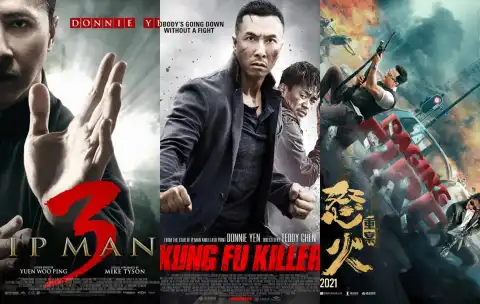 10 Best Donnie Yen Action Movies