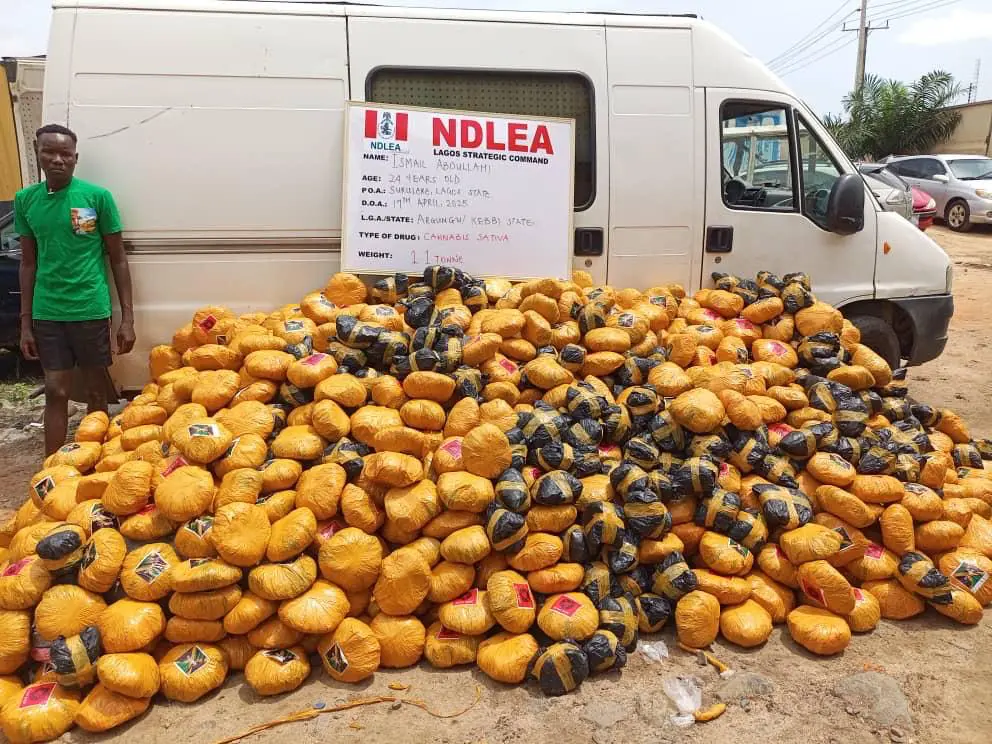 Kano: NDLEA arrests suspected bandits’ drug suppliers, foils export to Saudi Arabia