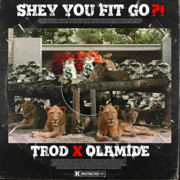 TROD ft. Olamide – Shey You Fit Go?!