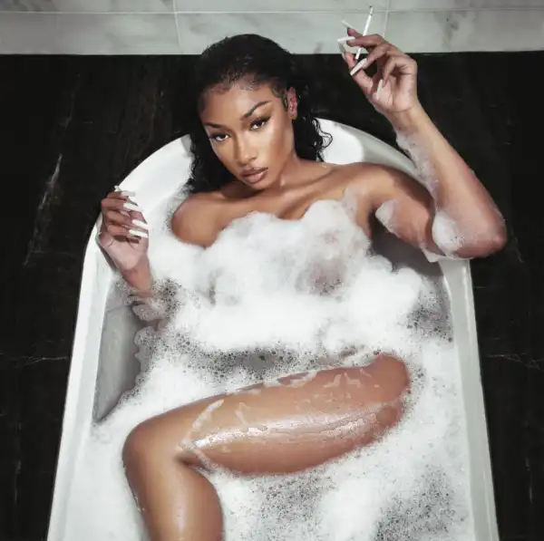 Megan Thee Stallion - Plan B