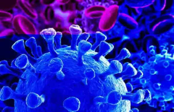 COVID-19 patient escapes from Taraba Isolation centre