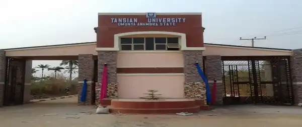 Tansian University denies reports of priest engaging in sexual act with female student
