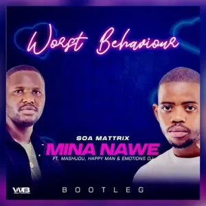 Worst Behaviour – Mina Nawe (Bootleg)